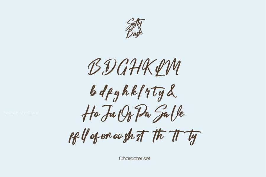 ysz-200950 Salty-Bash-Handwriting-Scriptz3.jpg