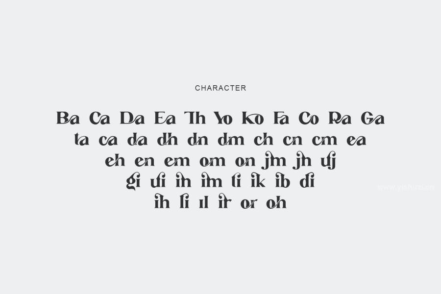 ysz-201483 Andhita-Serif-Fontz11.jpg