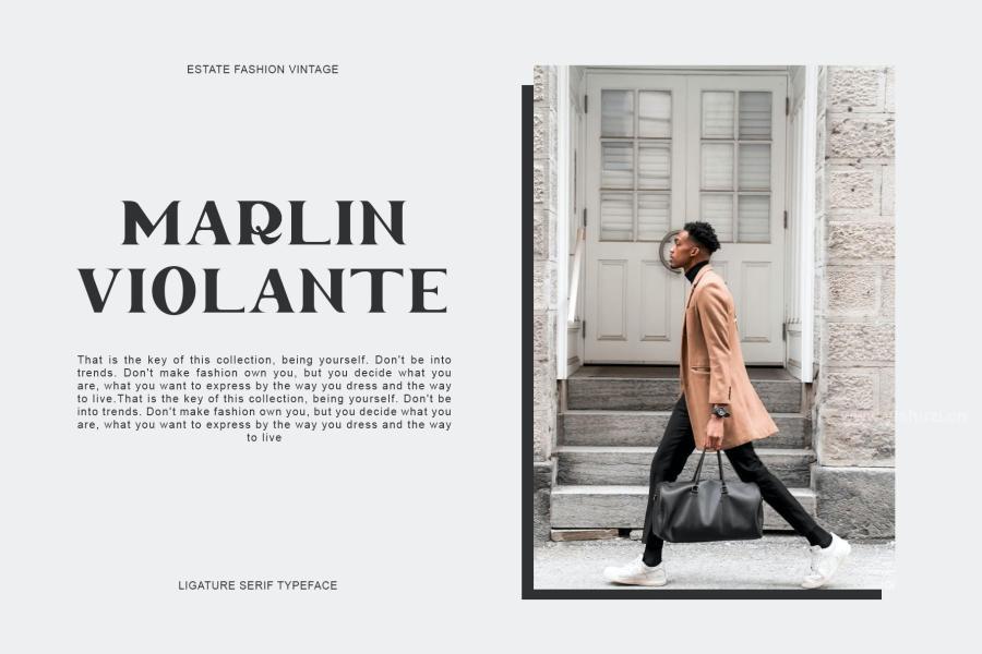 ysz-201483 Andhita-Serif-Fontz16.jpg