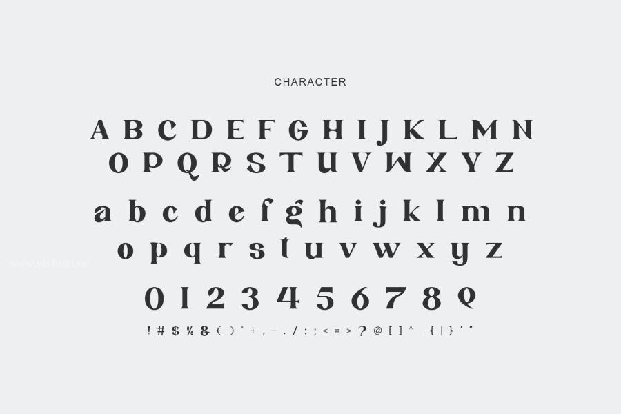 ysz-201483 Andhita-Serif-Fontz6.jpg