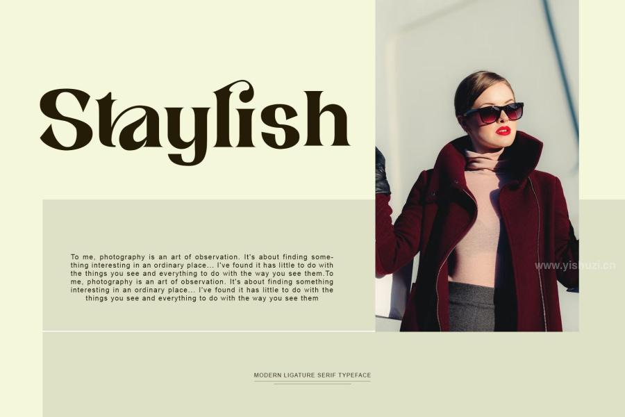 ysz-201483 Andhita-Serif-Fontz7.jpg
