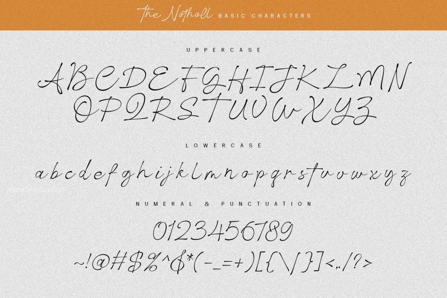ysz-201484 The-Notholl-Script-fontz14.jpg