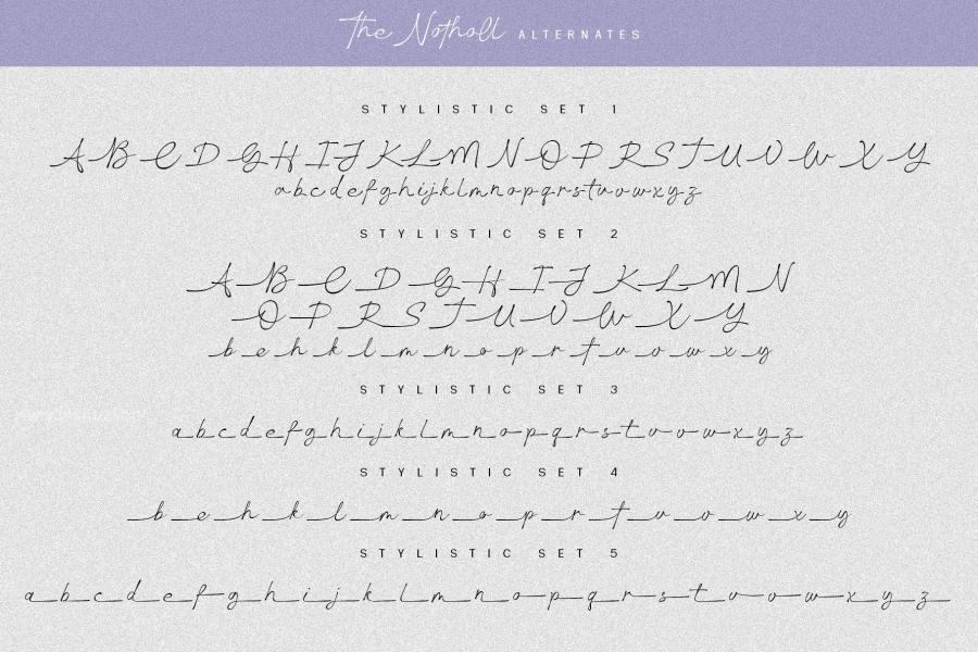 ysz-201484 The-Notholl-Script-fontz16.jpg