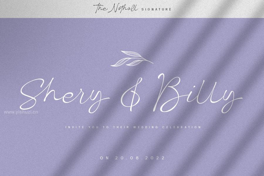 ysz-201484 The-Notholl-Script-fontz3.jpg