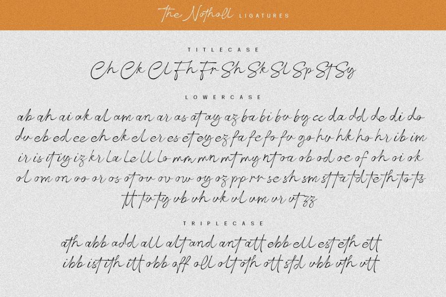 ysz-201484 The-Notholl-Script-fontz5.jpg