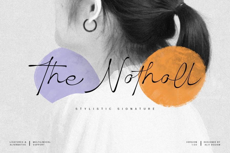 ysz-201484 The-Notholl-Script-fontz6.jpg