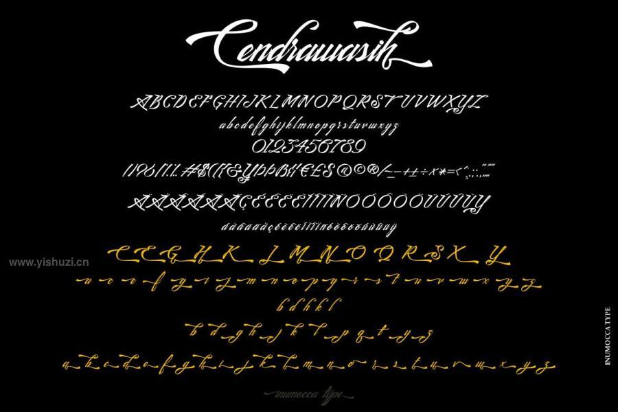 ysz-201513 Cendrawasihz11.jpg