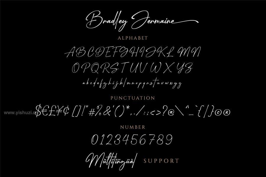 ysz-201537 Bradley-Jermaine---Elegant-Signature-Scriptz11.jpg