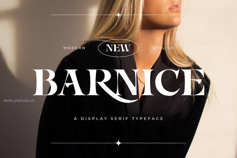 ysz-201608 Barnice---A-Display-Serif-Typefacez2.jpg