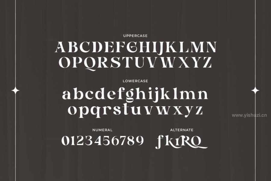 ysz-201608 Barnice---A-Display-Serif-Typefacez5.jpg