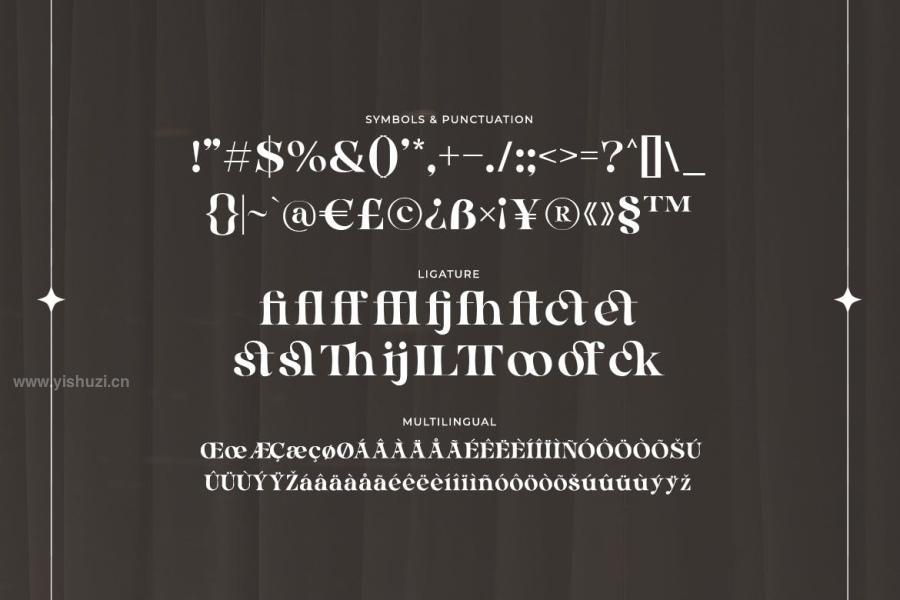 ysz-201608 Barnice---A-Display-Serif-Typefacez9.jpg