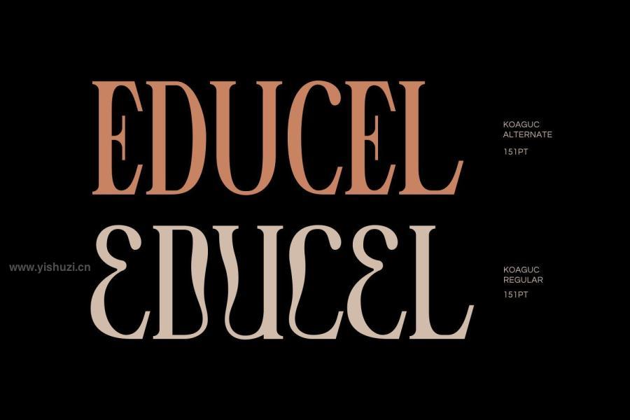 ysz-201610 Koaguc---Beautiful-Serif-Fontsz6.jpg