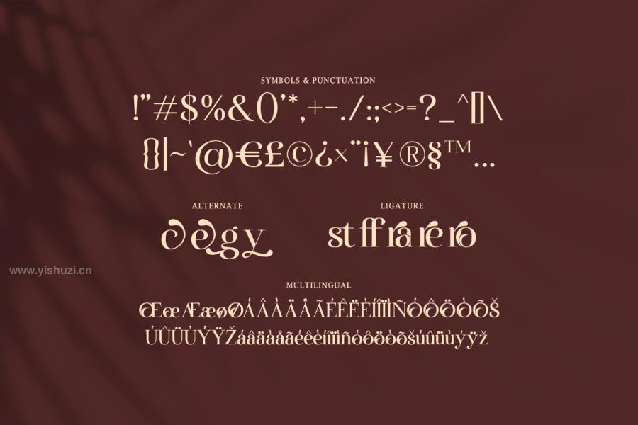 ysz-201611 Auralyess---Elegant-Serif-Fontz4.jpg
