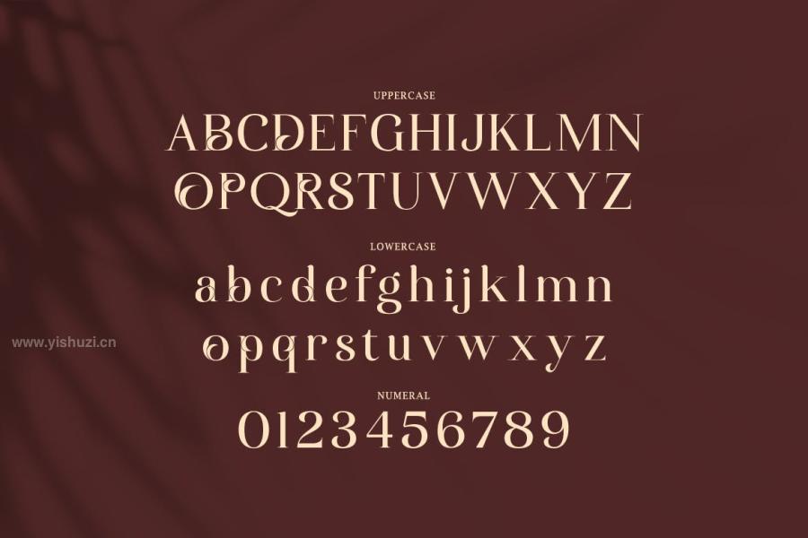 ysz-201611 Auralyess---Elegant-Serif-Fontz9.jpg