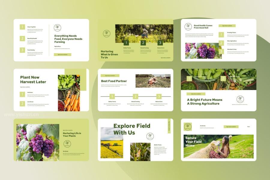 ysz-202624 Agriculture-Powerpoint-Presentationz3.jpg