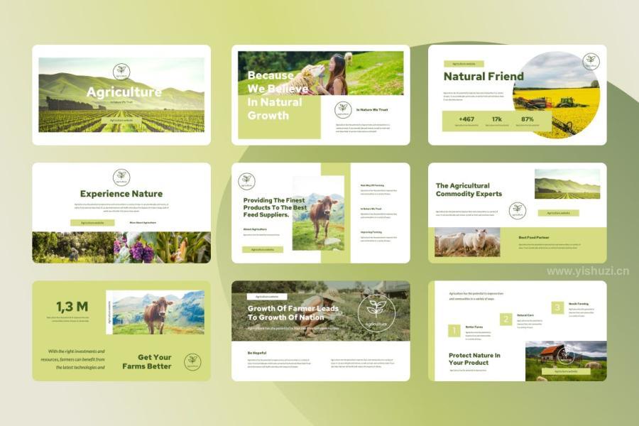 ysz-202624 Agriculture-Powerpoint-Presentationz4.jpg
