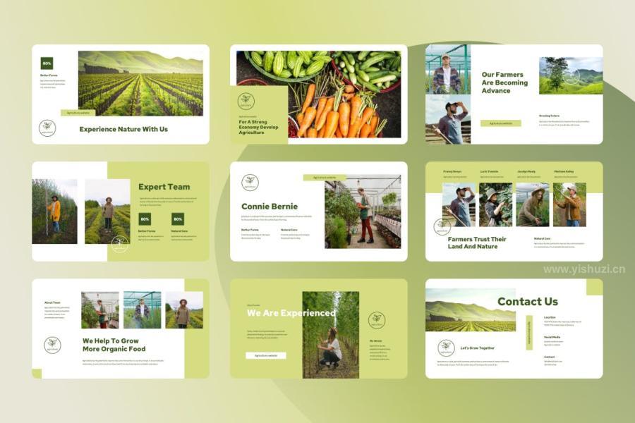 ysz-202624 Agriculture-Powerpoint-Presentationz5.jpg