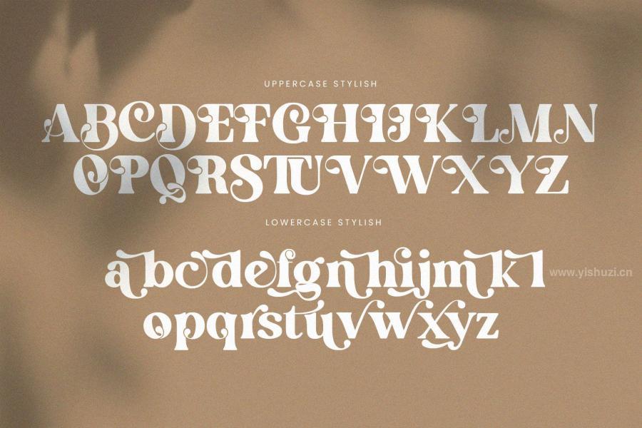 ysz-202648 English-Island-Elegant-Ligature-Serif-Fontz12.jpg