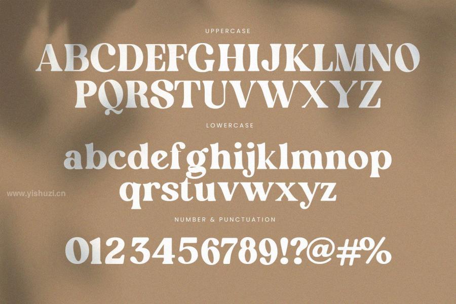ysz-202648 English-Island-Elegant-Ligature-Serif-Fontz6.jpg