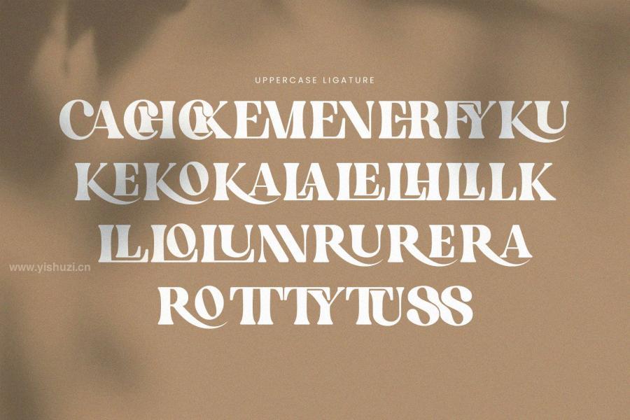 ysz-202648 English-Island-Elegant-Ligature-Serif-Fontz7.jpg