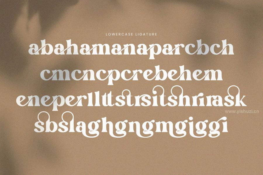 ysz-202648 English-Island-Elegant-Ligature-Serif-Fontz8.jpg
