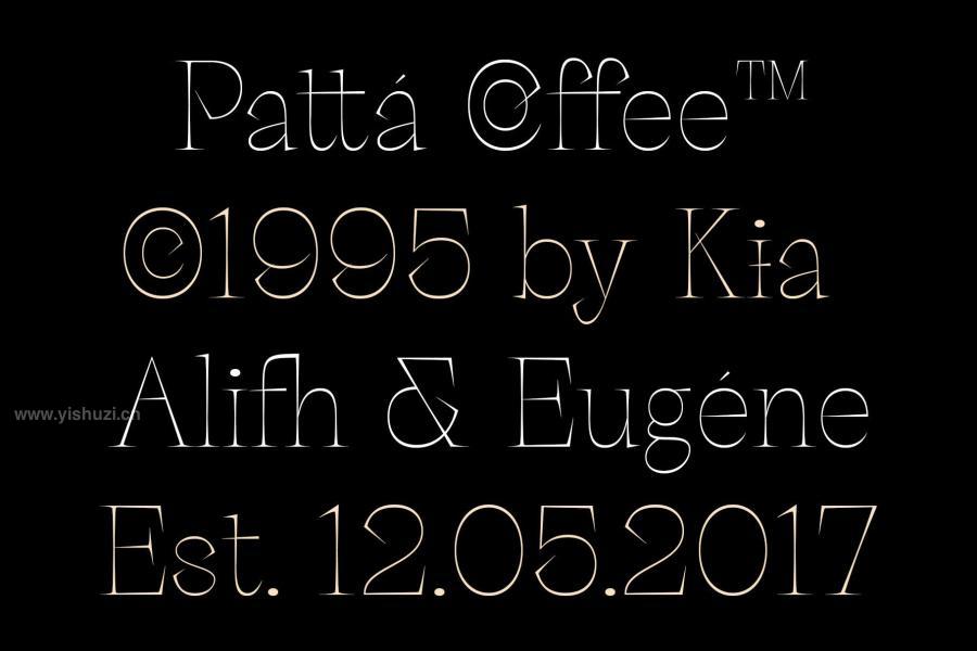 ysz-202650 Palaise---Display-Serif-Typefacez10.jpg