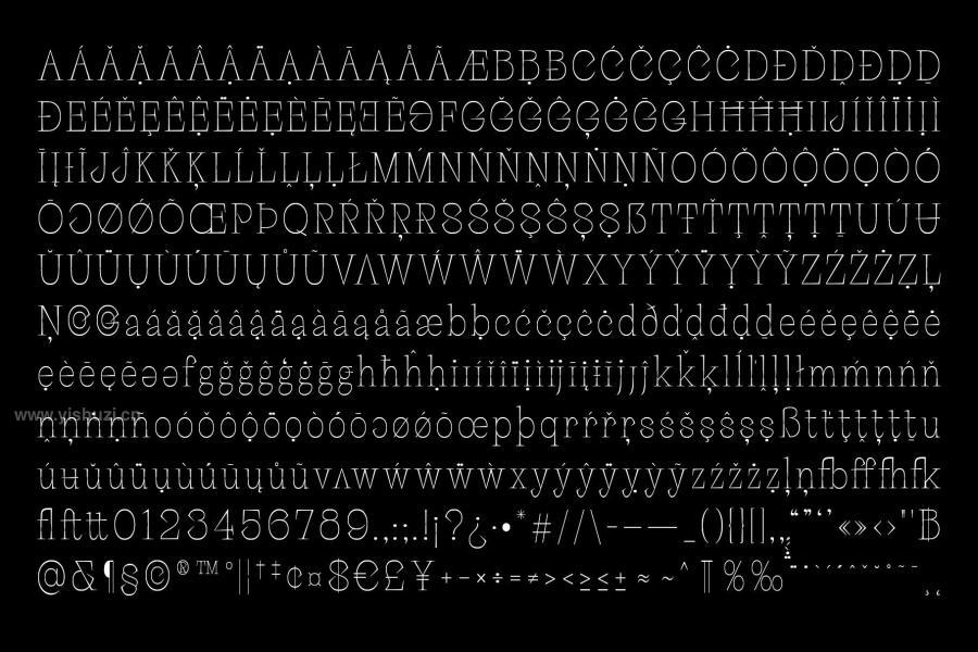 ysz-202650 Palaise---Display-Serif-Typefacez5.jpg