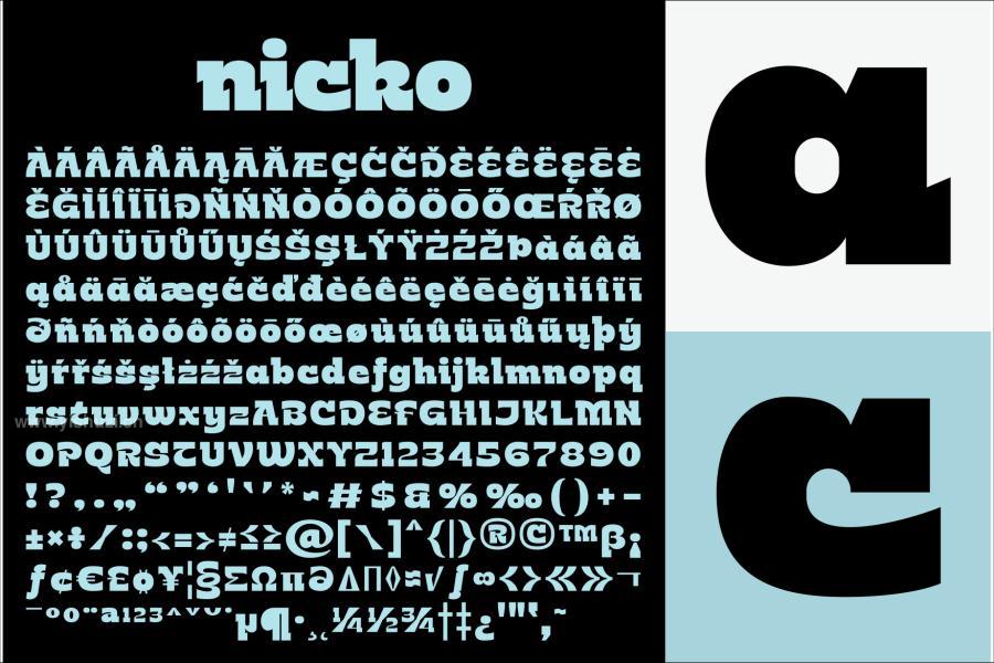 ysz-202651 Nicko-Typefacez3.jpg