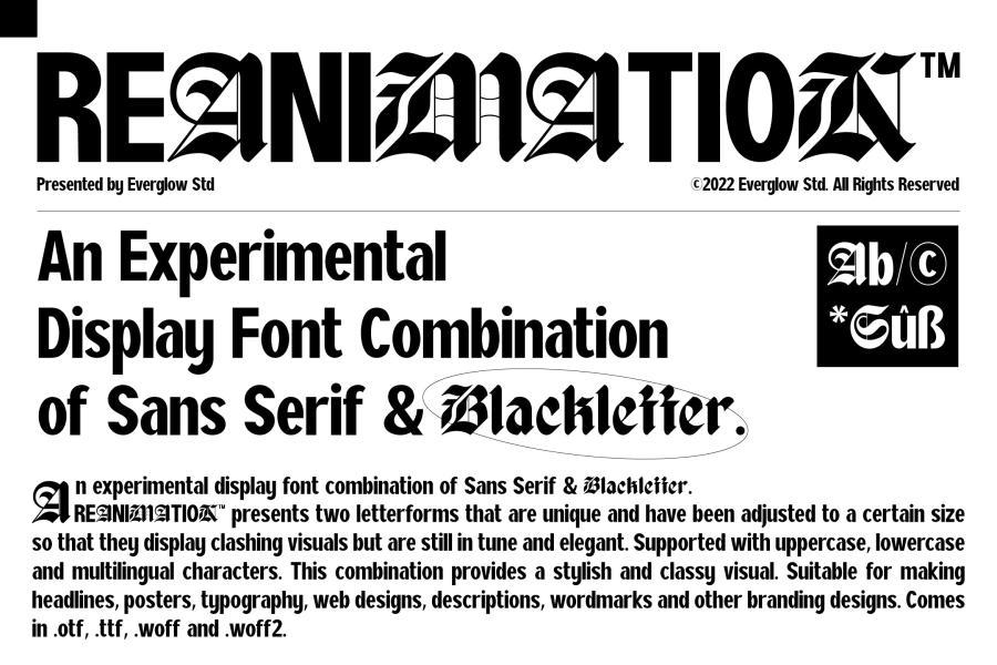 ysz-202658 Reanimation---Display-Font-Combinationz2.jpg