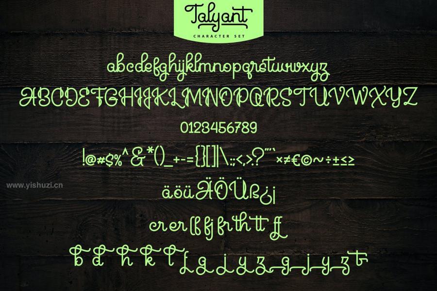 ysz-202675 Talyant-Handcrafted-Monoline-Script-Fontz5.jpg