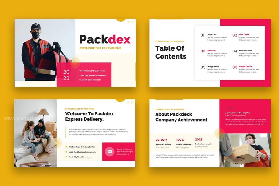 ysz-202692 Packdex---Express-Delivery-Powerpointz5.jpg