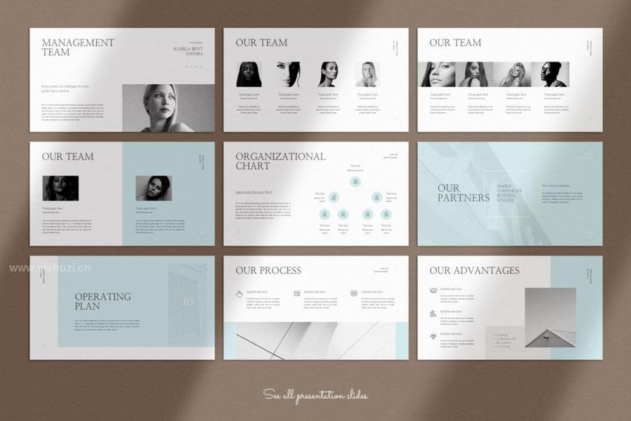 ysz-202695 Business-Plan-PowerPoint-Presentation-Templatez9.jpg