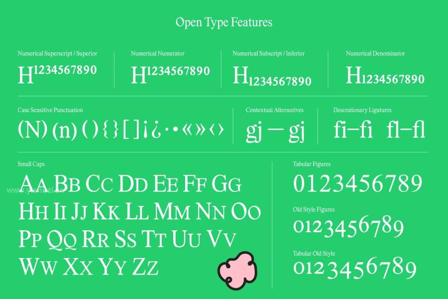ysz-202533 Lastik-Retro-Variable-Font-Familyz10.jpg