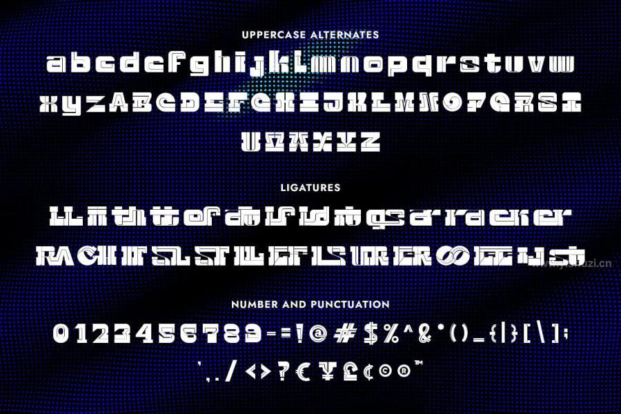 ysz-300023 Crypto-Future-Displayz6.jpg