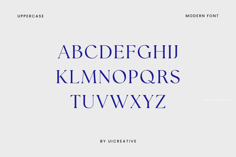 ysz-300032 Distrampler-Luxury-Serif-Fontz4.jpg