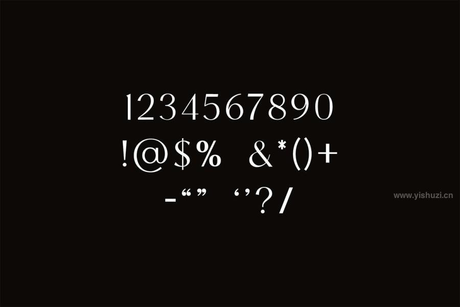 ysz-300032 Distrampler-Luxury-Serif-Fontz6.jpg