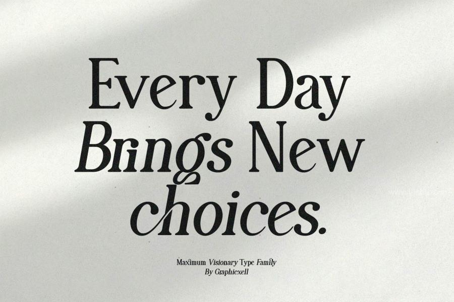 ysz-300033 Maximum-Visionary-Family-Elegant-Serif-Fontz8.jpg