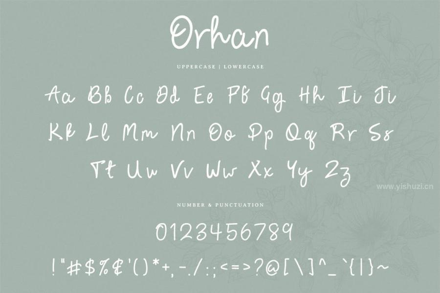ysz-300044 Orhan-Handwritten-Fontz4.jpg