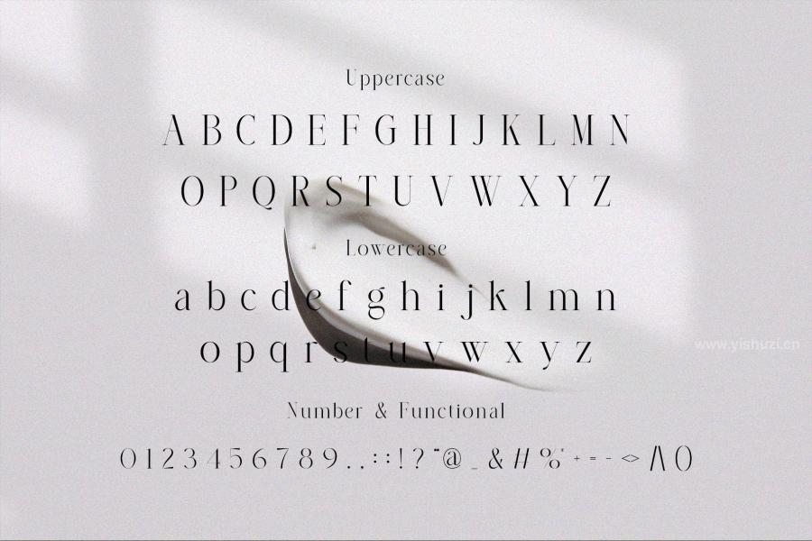 ysz-300050 Almera-Serif-Fontz10.jpg