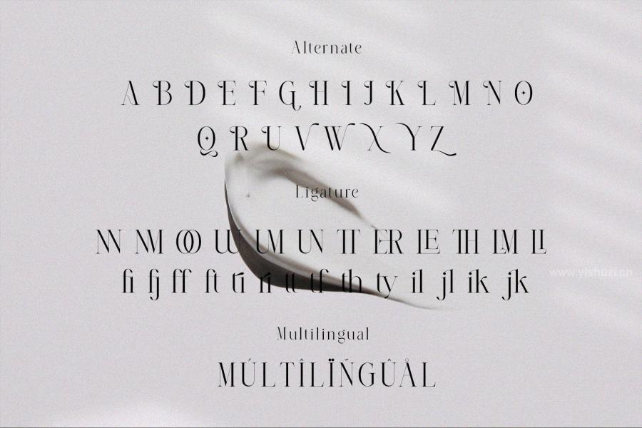 ysz-300050 Almera-Serif-Fontz3.jpg