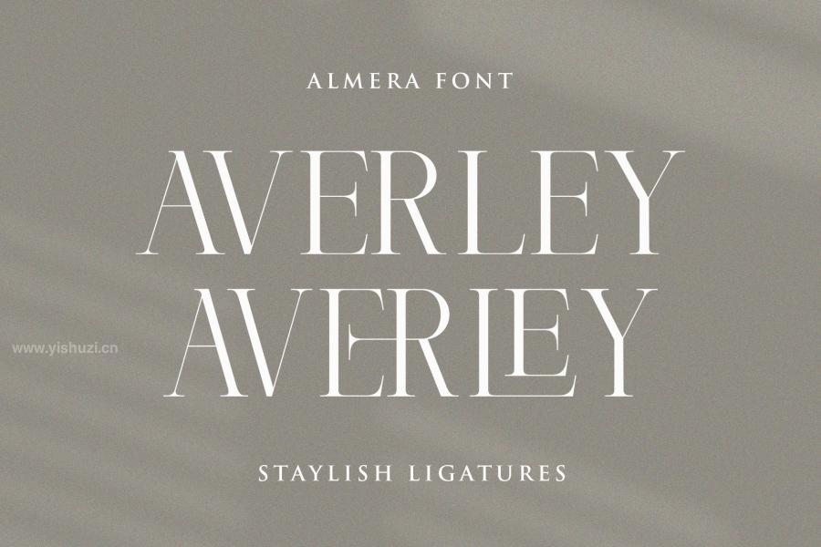 ysz-300050 Almera-Serif-Fontz9.jpg