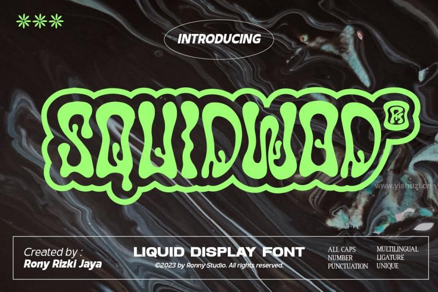 ysz-300054 Squidwod---Liquid-Display-Fontz2.jpg