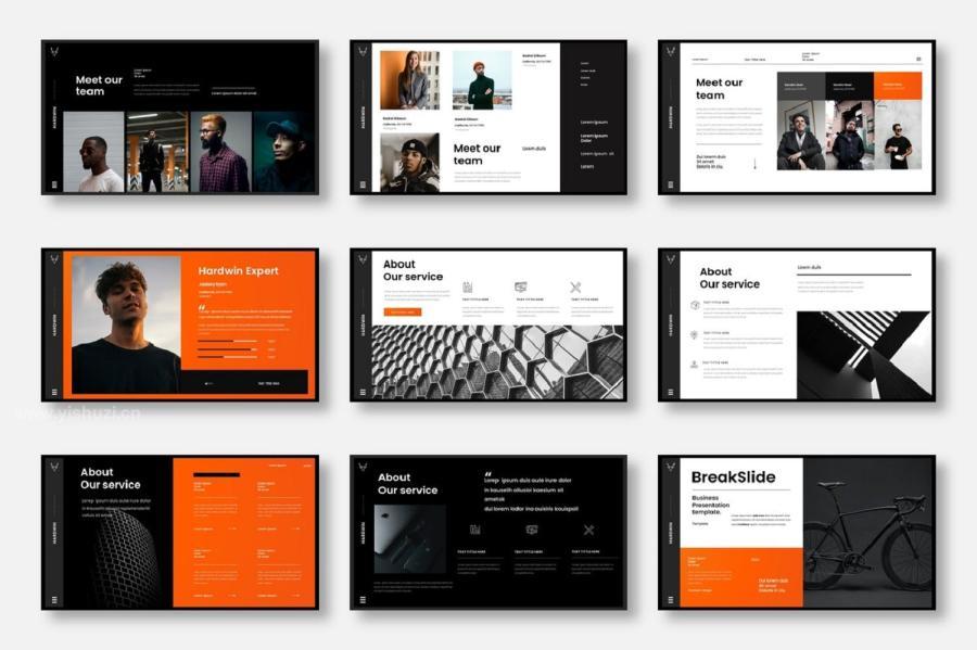 ysz-202571 Hardwin-–-Business-PowerPoint-Templatez3.jpg