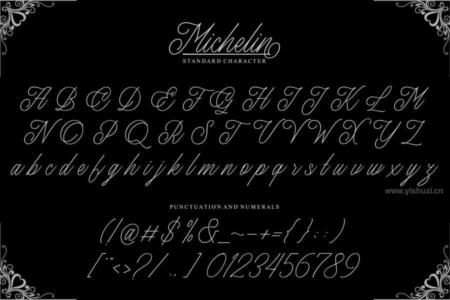 ysz-203969 Michelin-Scriptz15.jpg