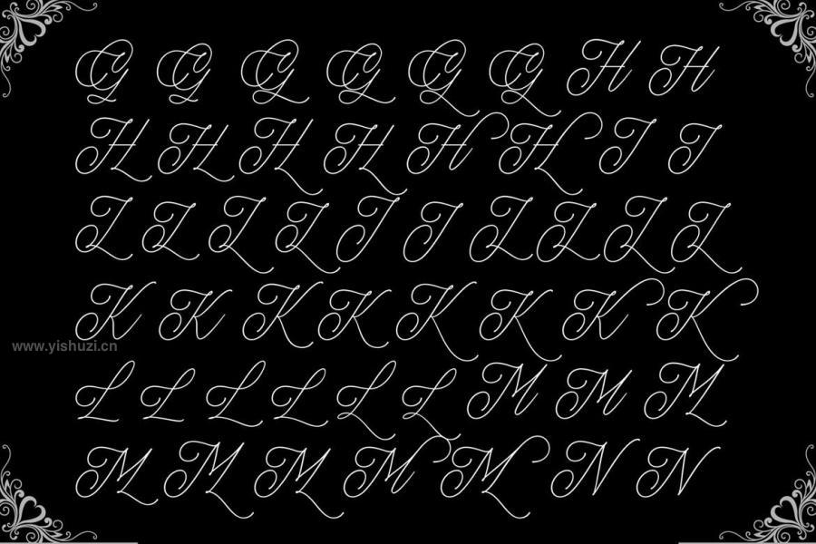 ysz-203969 Michelin-Scriptz4.jpg