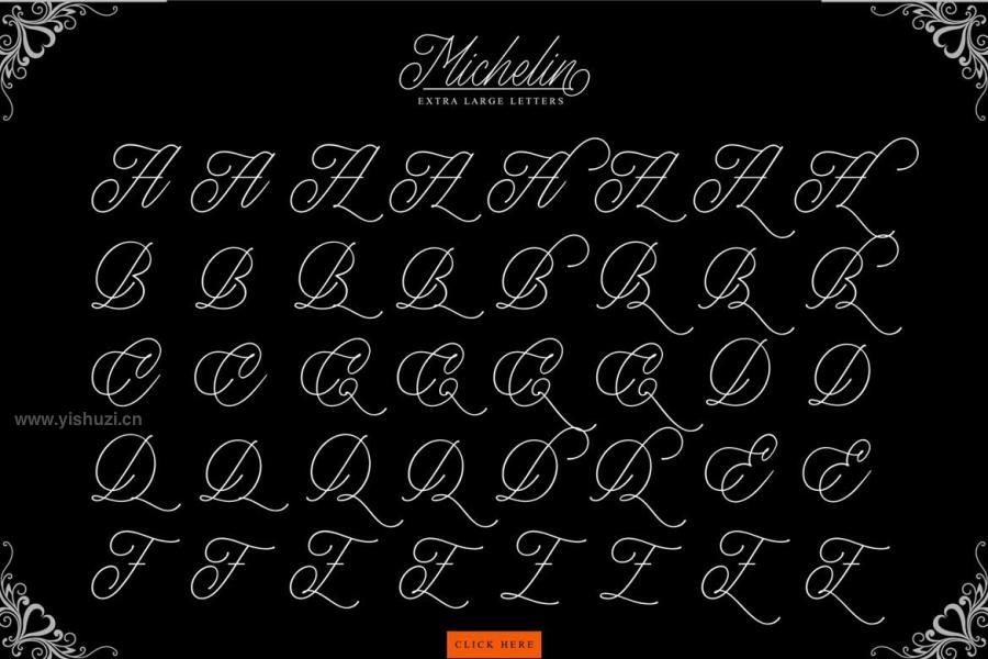 ysz-203969 Michelin-Scriptz6.jpg