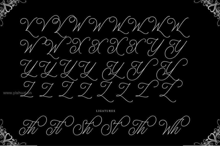 ysz-203969 Michelin-Scriptz7.jpg