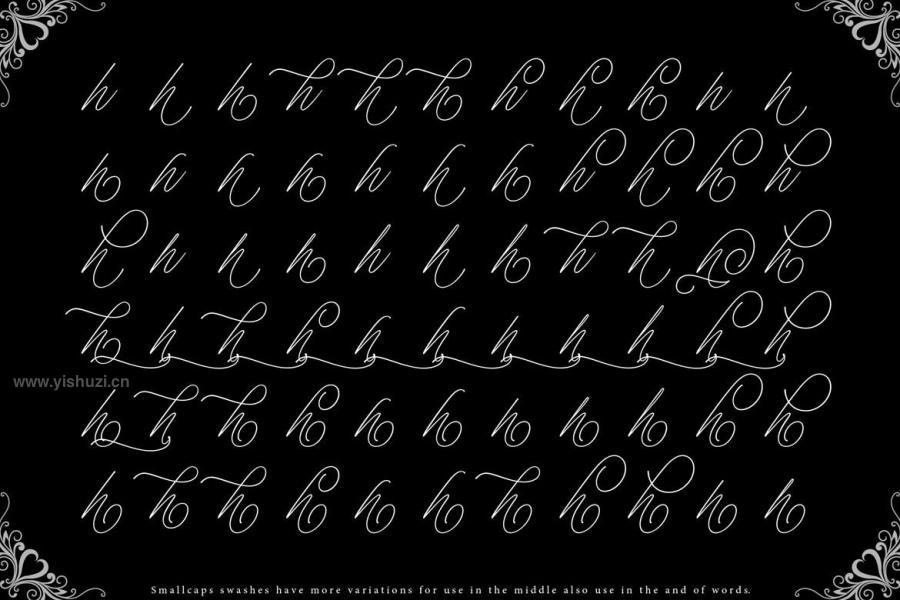ysz-203969 Michelin-Scriptz8.jpg