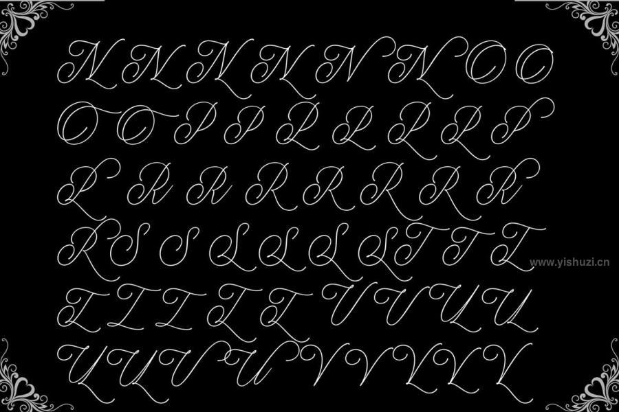 ysz-203969 Michelin-Scriptz9.jpg