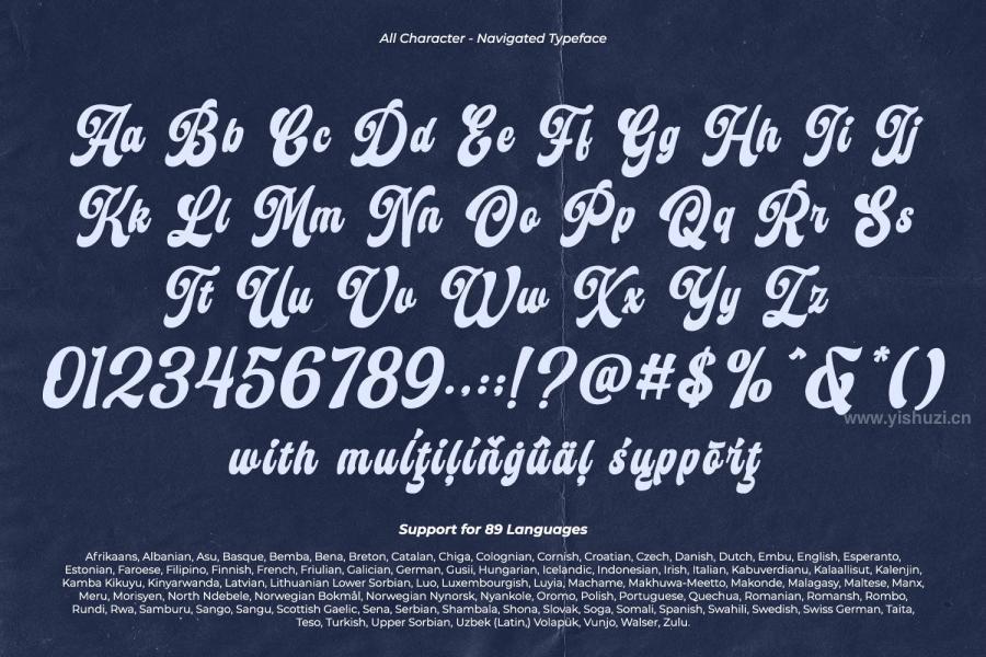 ysz-203976 Navigatedz12.jpg